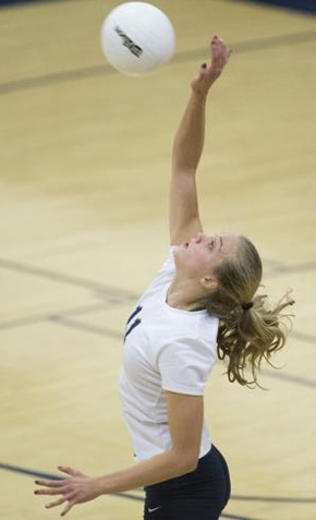 about volley femminile